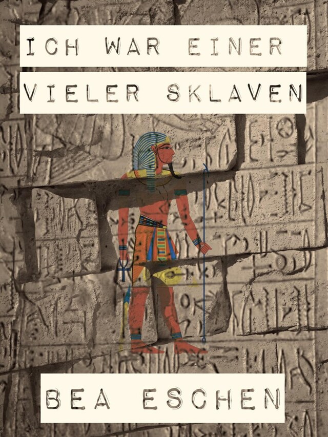 Copertina del libro per Ich war einer vieler Sklaven