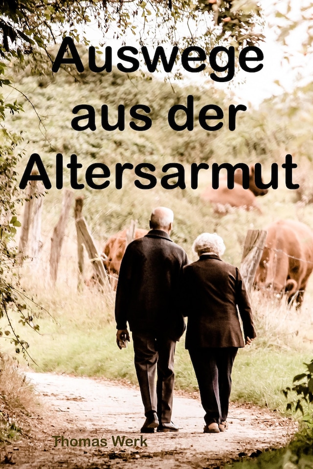 Book cover for Auswege aus der Altersarmut