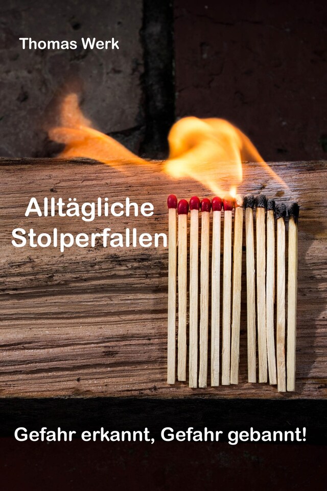 Book cover for Alltägliche Stolperfallen