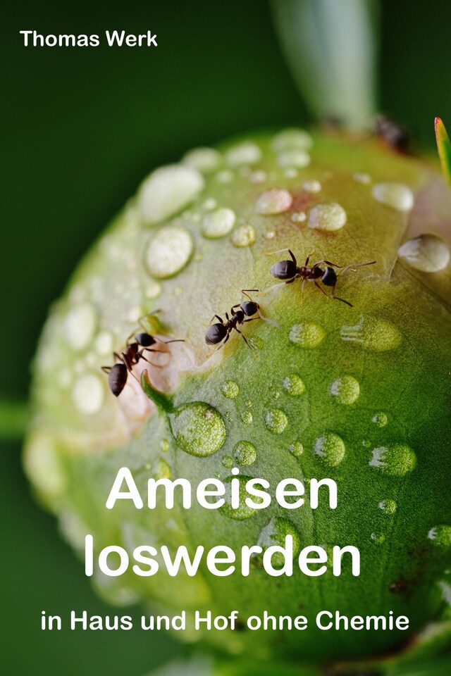 Book cover for Ameisen loswerden