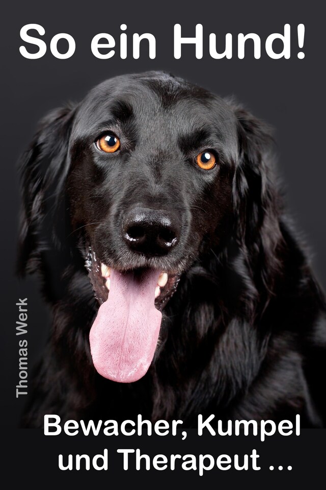 Buchcover für So ein Hund