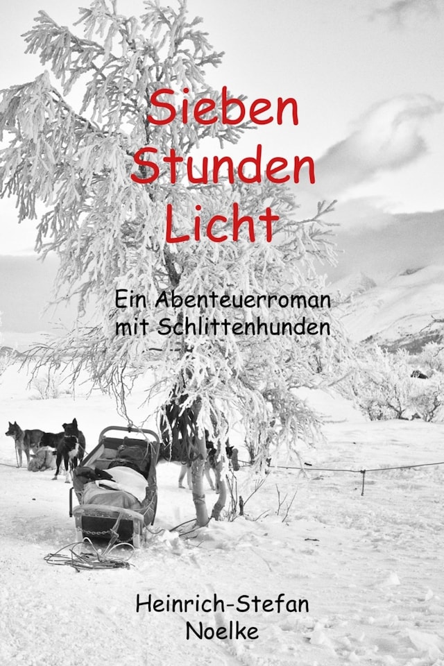Book cover for Sieben Stunden Licht