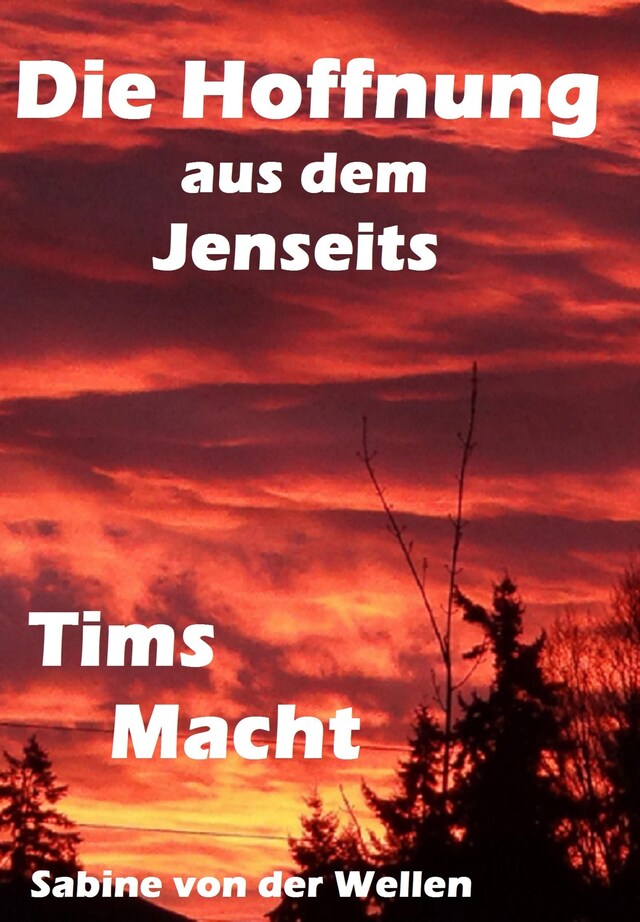 Couverture de livre pour Die Hoffnung aus dem Jenseits