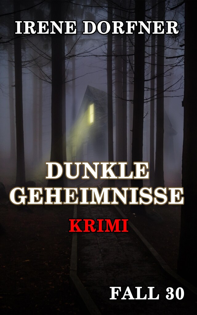 Couverture de livre pour DUNKLE GEHEIMNISSE