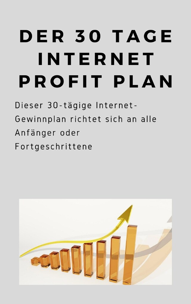 Buchcover für Der 30 Tage Internet Profit Plan