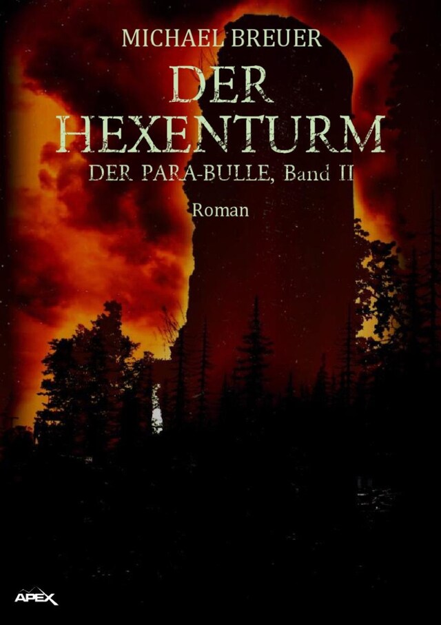 Buchcover für DER HEXENTURM