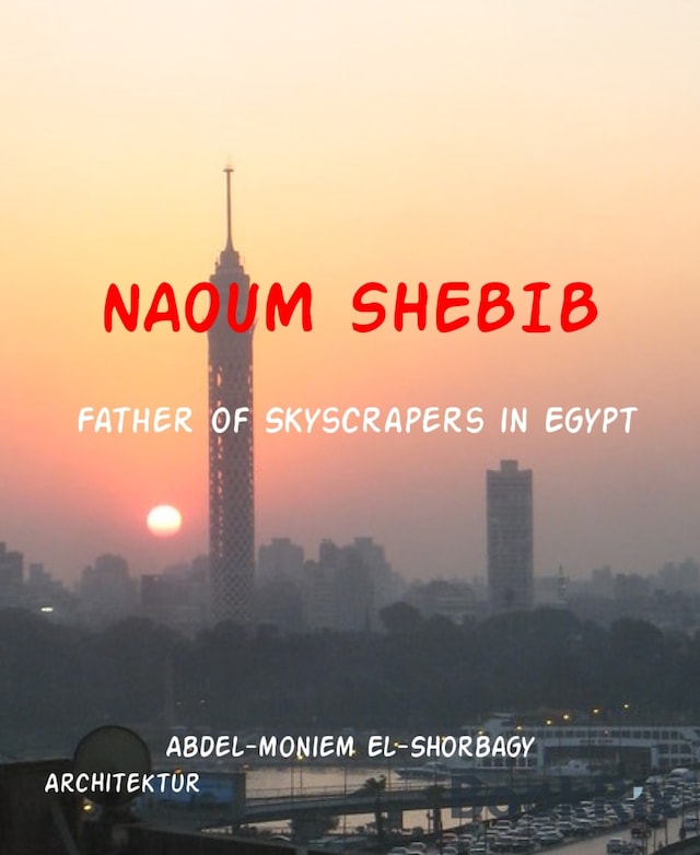 Book cover for NAOUM SHEBIB