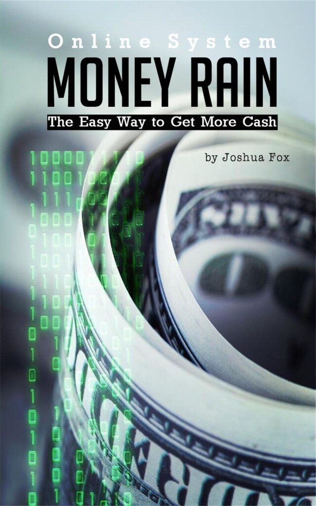 Book cover for Money Rain System