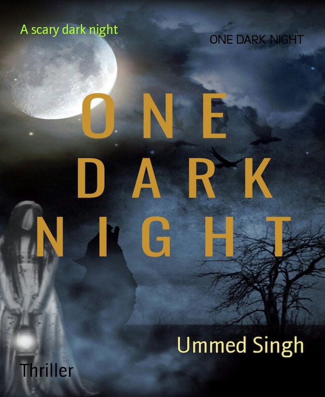 Book cover for ONE DARK NIGHT