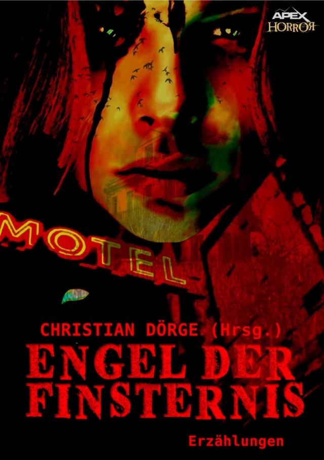 Book cover for ENGEL DER FINSTERNIS