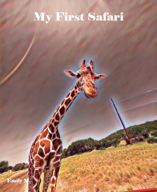 Book cover for My First Safari