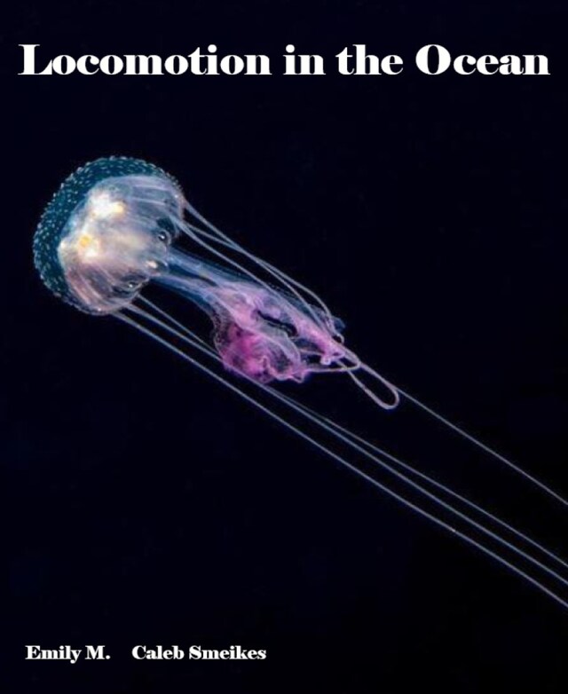 Book cover for Locomotion in the Ocean