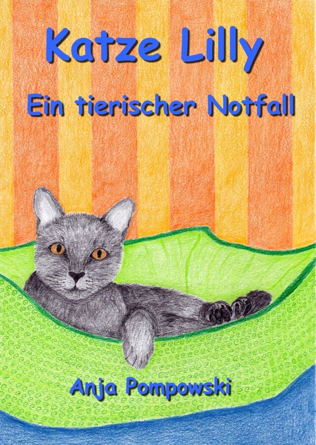 Couverture de livre pour Katze Lilly – Ein tierischer Notfall