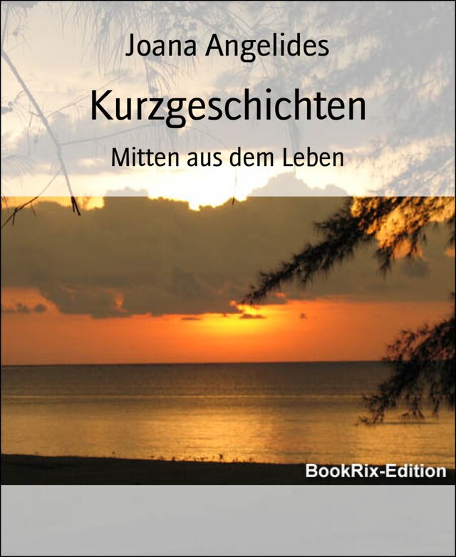 Okładka książki dla Kurzgeschichten