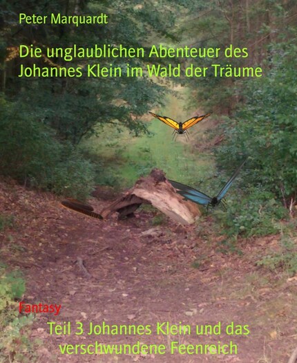 Teil 3 Johannes Klein und das verschwundene Feenreich bookCoverFor