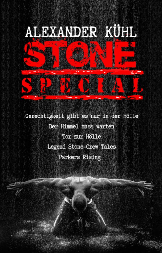 Book cover for Stone - Special Edition
