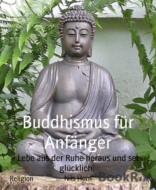 Book cover for Buddhismus für Anfänger