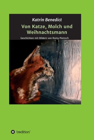 Von Katze, Molch und Weihnachtsmann bookCoverFor