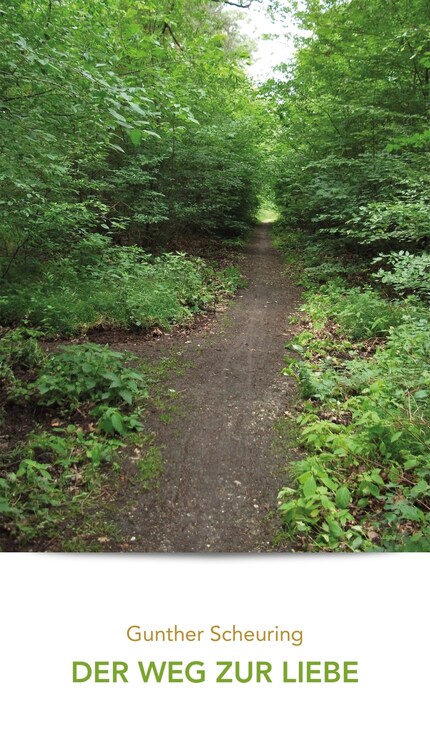 Der Weg zur Liebe bookCoverFor