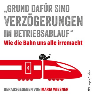 "Grund dafür sind Verzögerungen im Betriebsablauf" als Hörbuch