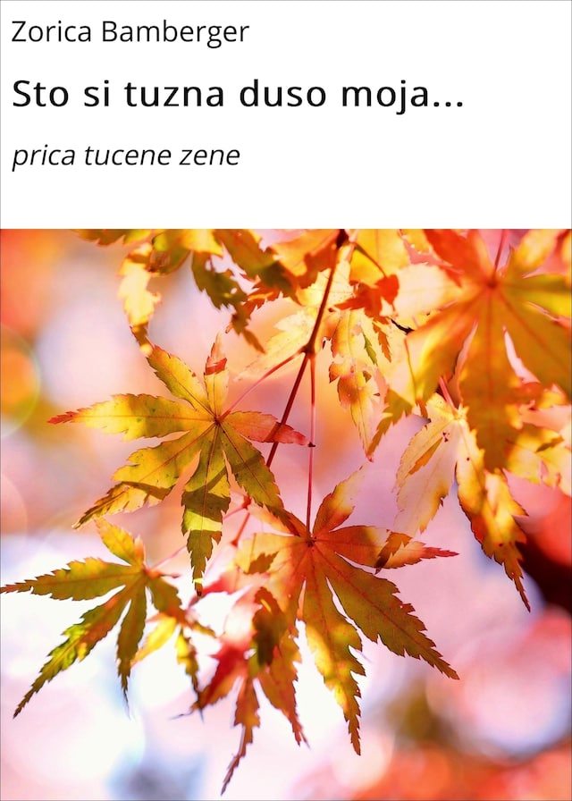 Buchcover für Sto si tuzna duso moja...