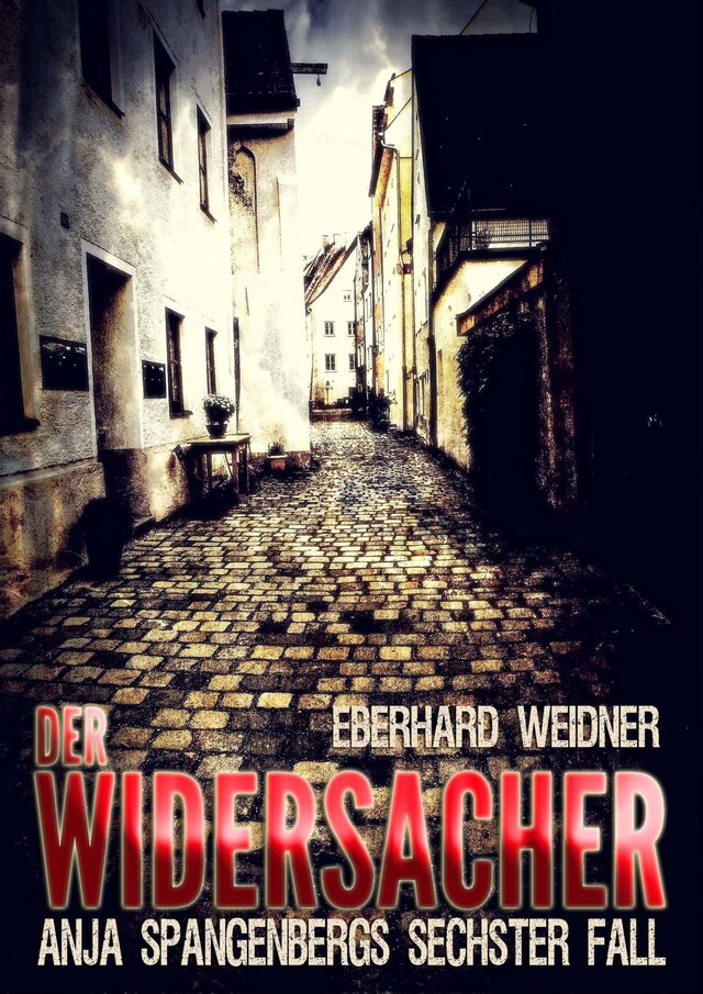 Buchcover für DER WIDERSACHER