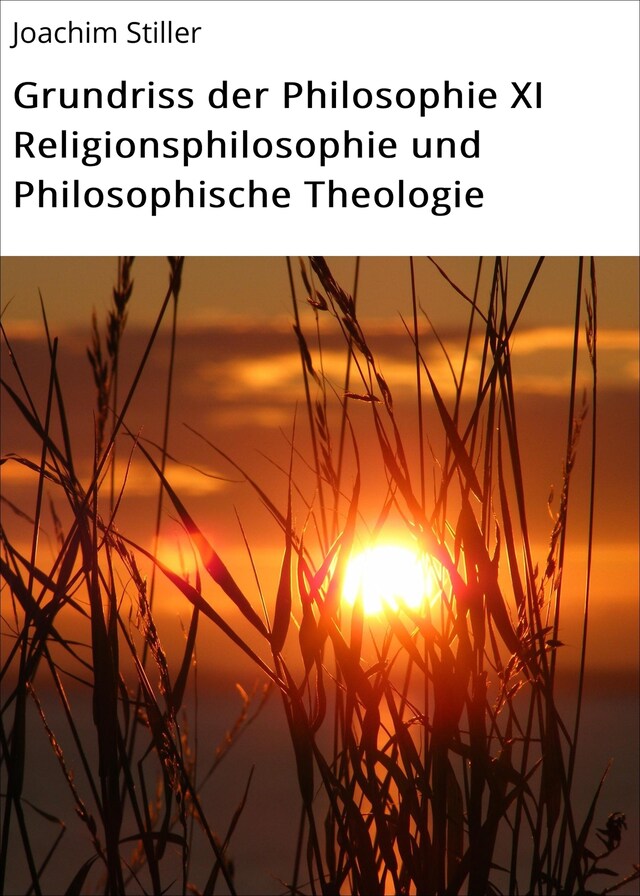 Bokomslag for Grundriss der Philosophie XI Religionsphilosophie und Philosophische Theologie