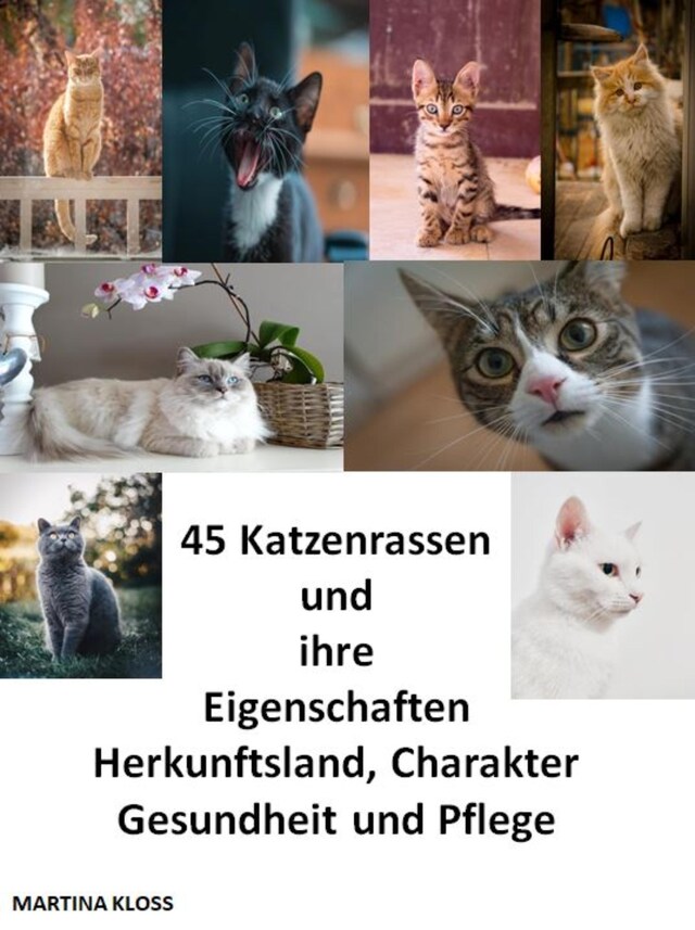 Kirjankansi teokselle 45 Katzenrassen und ihre Eigenschaften, Herkunftsland, Charakter, Gesundheit und Pflege