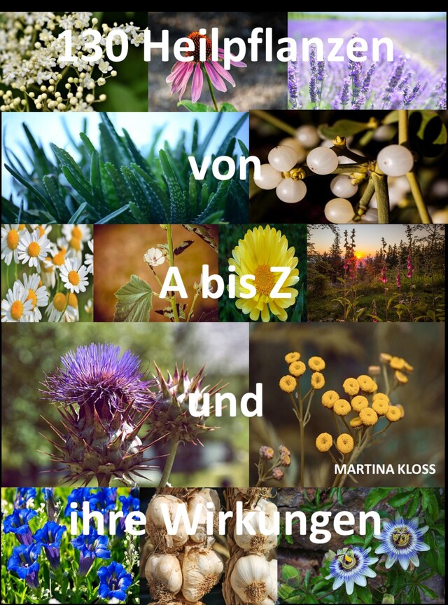 Book cover for Was sind Heilpflanzen und ihre Wirkungen?