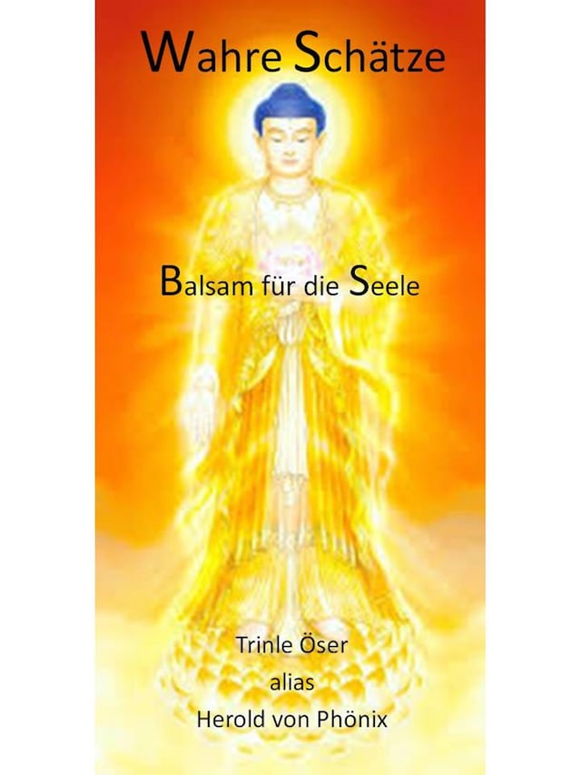 Book cover for Wahre Schätze