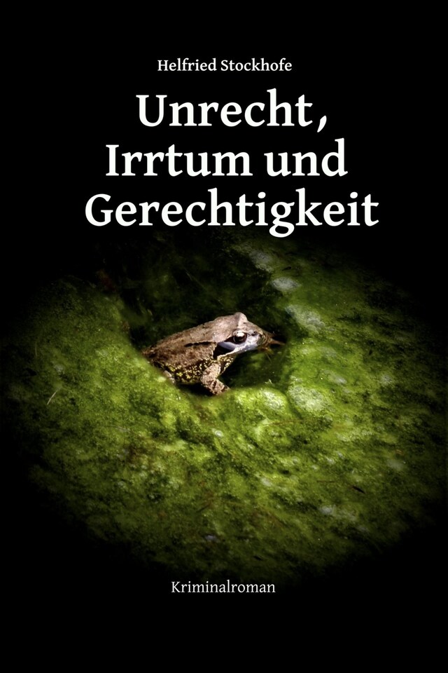 Buchcover für Unrecht, Irrtum und Gerechtigkeit