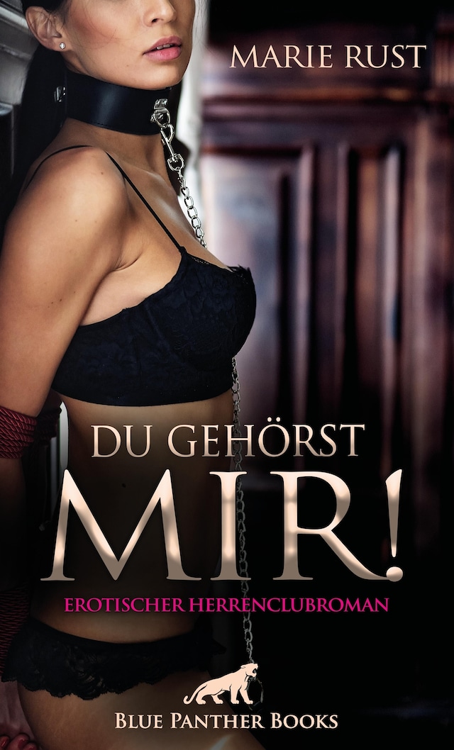 Buchcover für Du gehörst MIR! Erotischer Herrenclubroman