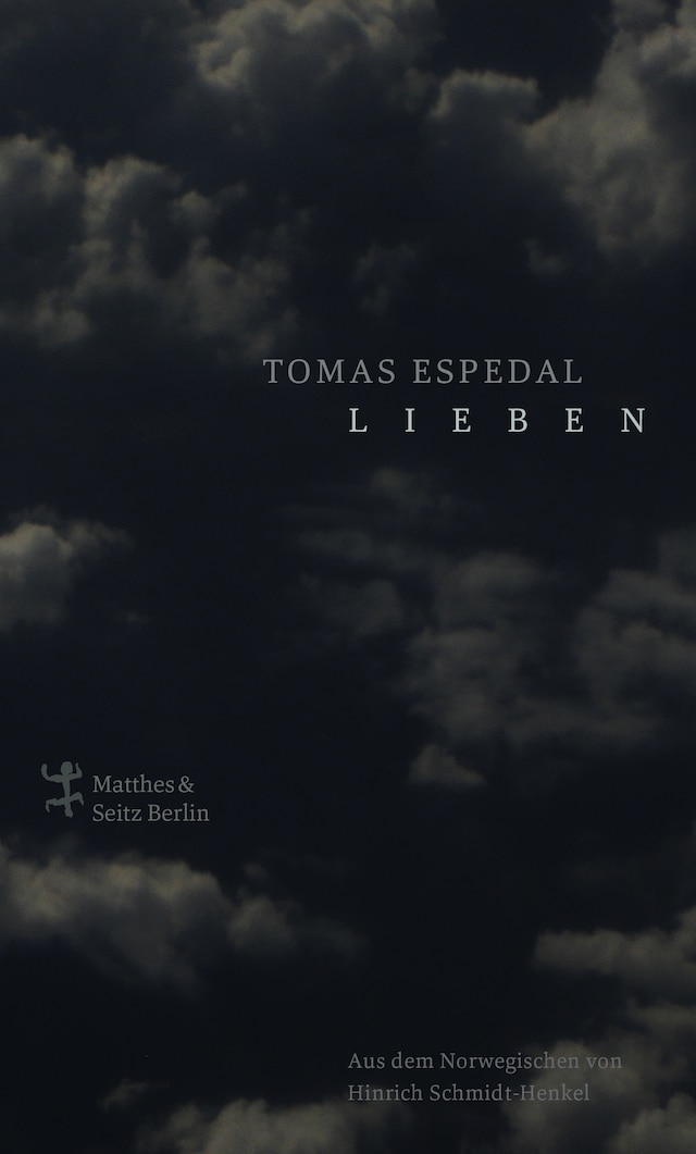 Book cover for Lieben