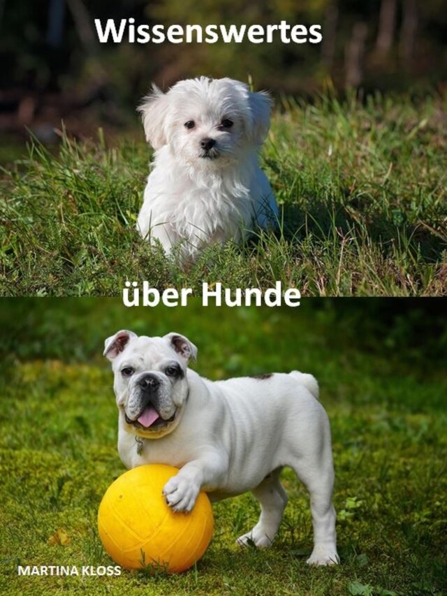 Buchcover für Wissenswertes über Hunde