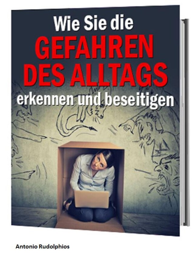 Bogomslag for Wie Sie die Gefahren des Alltags erkennen und beseitigen