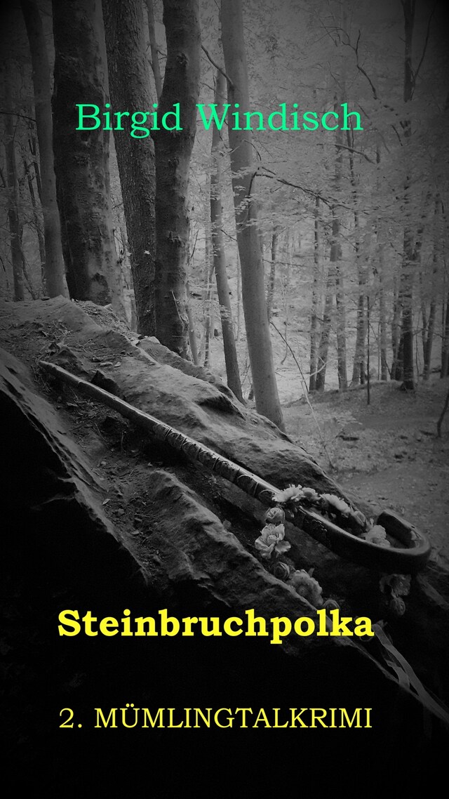 Couverture de livre pour Steinbruchpolka