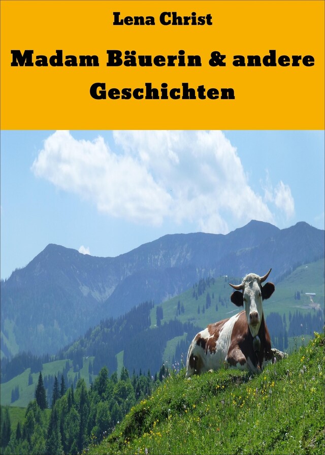 Buchcover für Madam Bäuerin & andere Geschichten