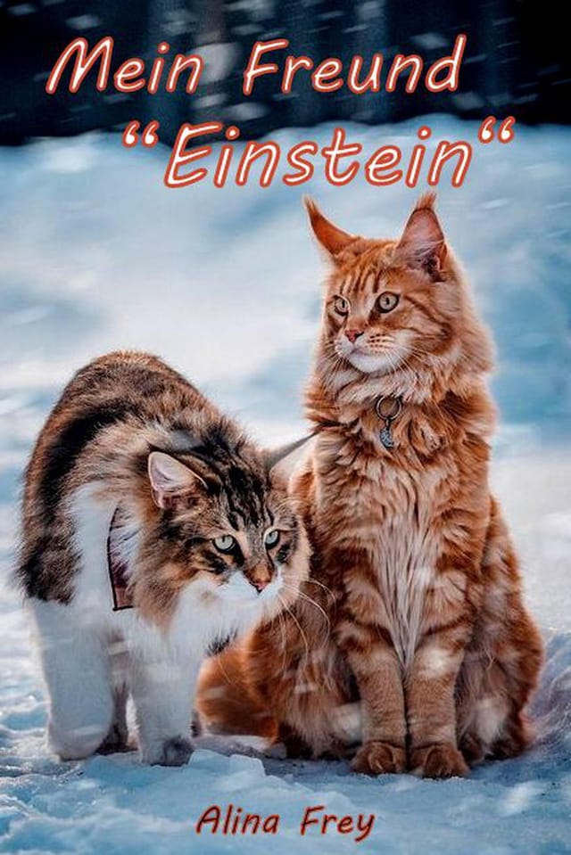 Book cover for Mein Freund "Einstein"