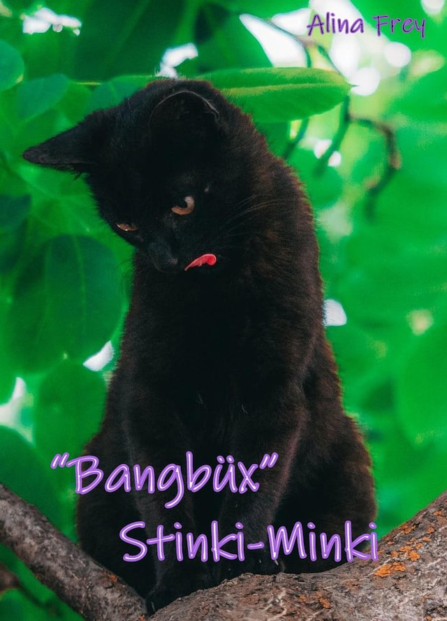 Book cover for Bangbüx "Stinki-Minki"