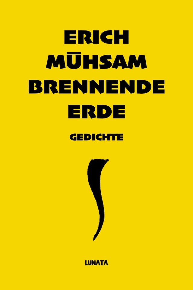 Book cover for Brennende Erde