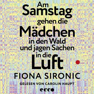 Am Samstag gehen die Mädchen in den Wald und jagen Sachen in die Luft als Hörbuch