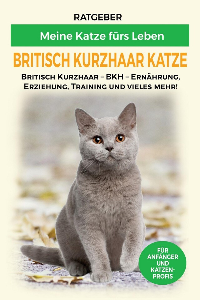 Buchcover für Britisch Kurzhaar Katze