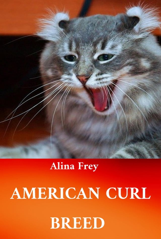 Book cover for American Curl Breed