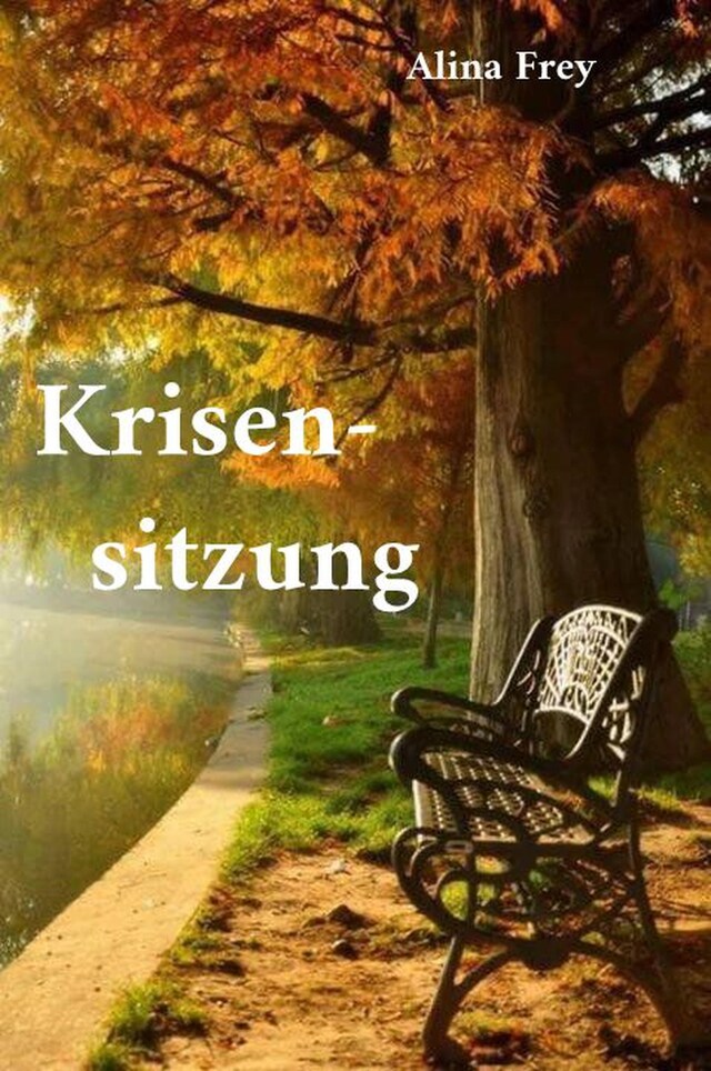 Book cover for Krisensitzung