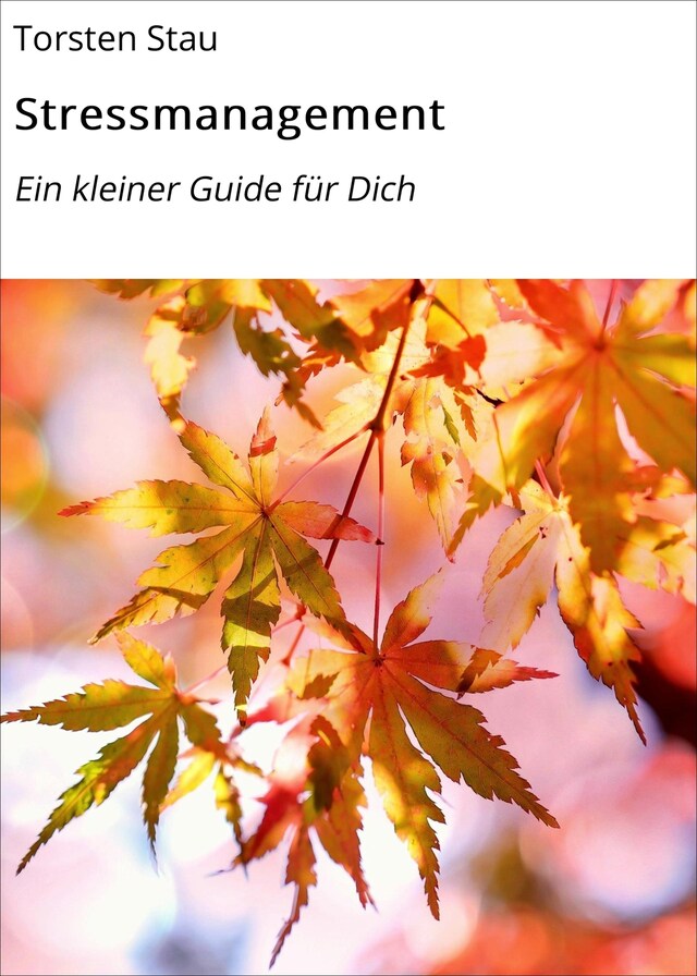 Buchcover für Stressmanagement