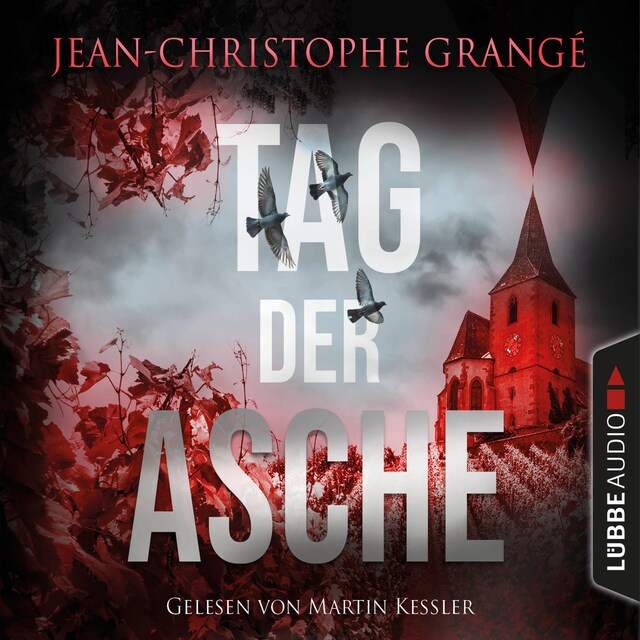 Book cover for Tag der Asche (Gekürzt)