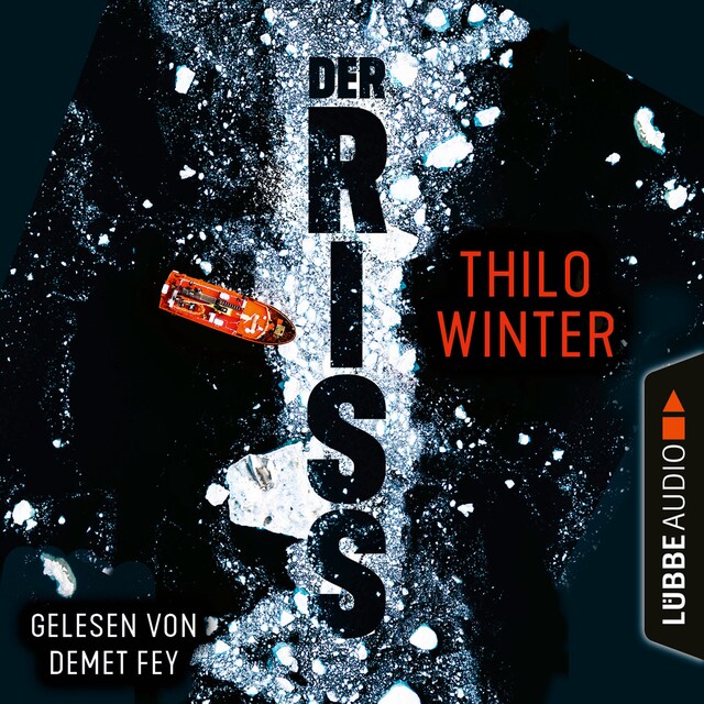 Book cover for Der Riss (Ungekürzt)