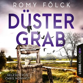 Düstergrab - Elbmarsch-Krimi, Teil 6 als Hörbuch