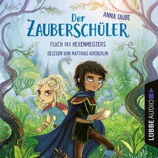 Fluch des Hexenmeisters - Der Zauberschüler, Teil 1 als Hörbuch