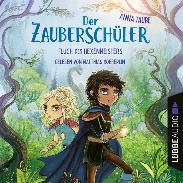 Book cover for Fluch des Hexenmeisters - Der Zauberschüler, Teil 1 (Ungekürzt)